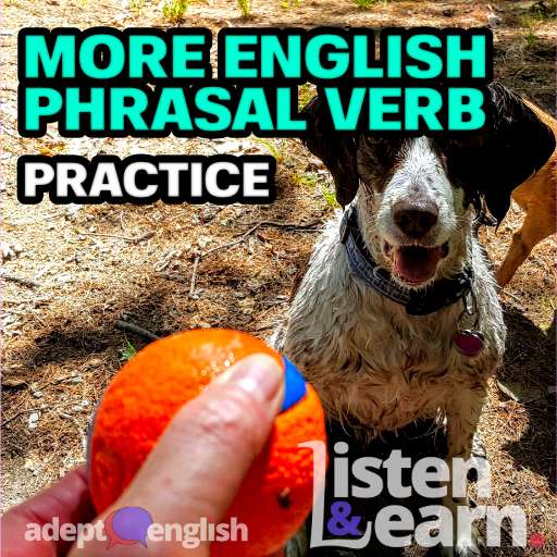 A photograph of someone about to throw an orange ball for two eager dogs. Today we tackle the most common English phrasal verbs which use to throw in them.
