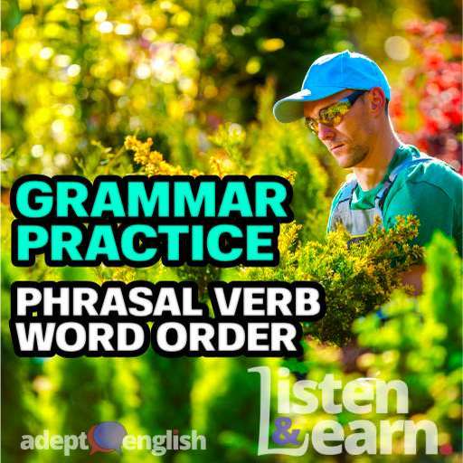 Every Adept English lesson will help you learn to speak English fluently.