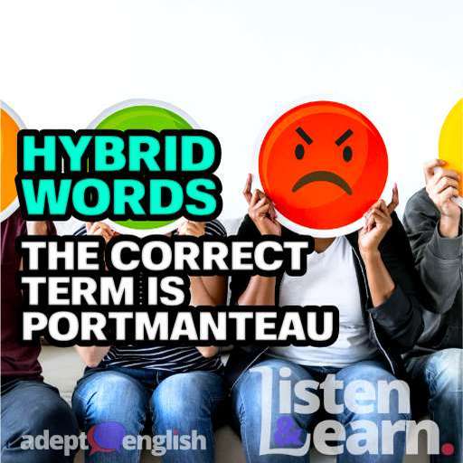 Every Adept English lesson will help you learn to speak English fluently.