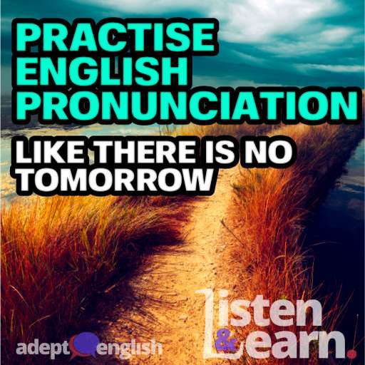 Every Adept English lesson will help you learn to speak English fluently.