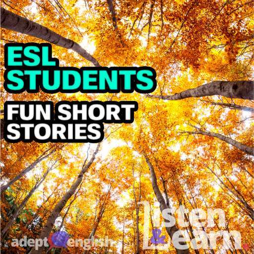 Every Adept English lesson will help you learn to speak English fluently.