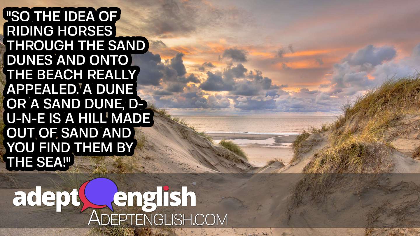 An amazing photograph of sand dunes with the ocean in the background. Used to help explain the English word dune used in an English language listening lesson.
